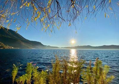 旅游企業業務全線復蘇 上調業績目標，'只要給機會，一定能一躍而起'